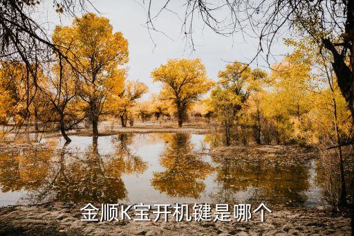 k寶怎么開機手動，農(nóng)業(yè)銀行k寶怎么打開