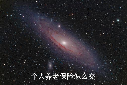 個人養(yǎng)老金是怎么交的，養(yǎng)老保險個人怎樣交納