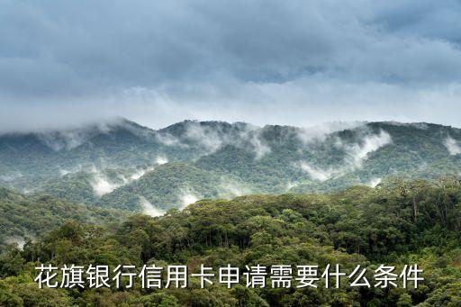 花旗銀行信用卡申請需要什么條件