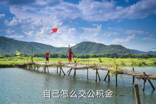 自己怎么交公積金