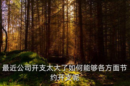 最近公司開支太大了如何能夠各方面節(jié)約開支呢