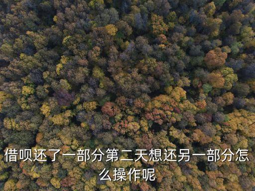 借唄還了一部分第二天想還另一部分怎么操作呢
