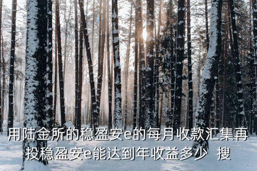 穩(wěn)盈安e加怎么投收益大，用陸金所的穩(wěn)盈安e的每月收款匯集再投穩(wěn)盈安e能達(dá)到年收益多少  搜