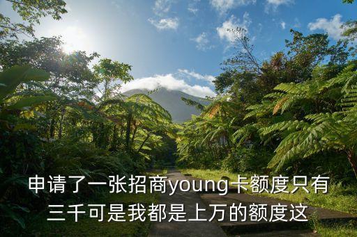 申請了一張招商young卡額度只有三千可是我都是上萬的額度這