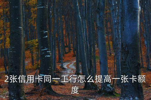 2張信用卡同一工行怎么提高一張卡額度