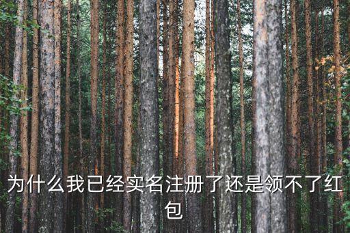 恒大金服注冊怎么沒有送紅包，為什么實名注冊后沒有禮包