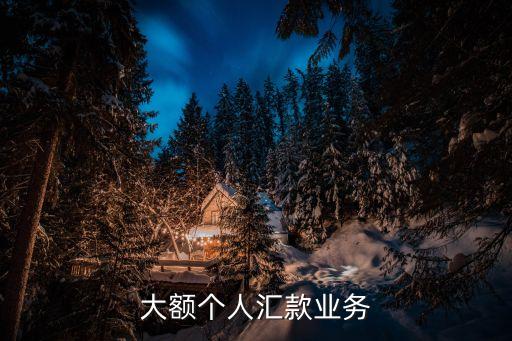 建行大額轉賬怎么辦理，辦理建行轉帳金額幾十萬的要身份證跟本人過去嗎
