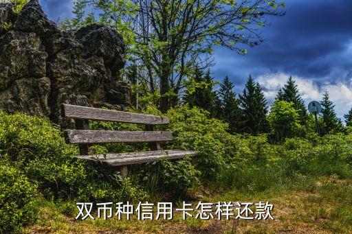 光大時尚雙幣卡在日本用怎么還款，雙幣種信用卡怎樣還款