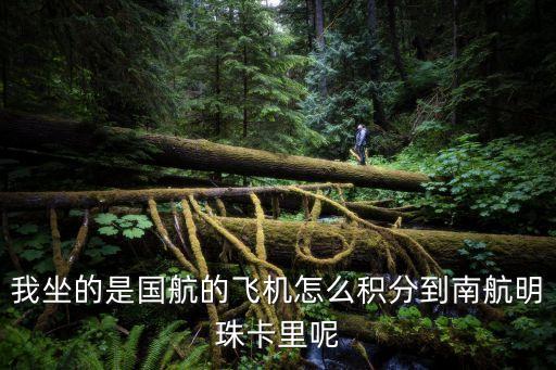 南航明珠卡怎么積分，我南航明珠牡丹卡78月消費十萬元人民幣怎樣查看積分