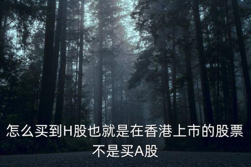 怎么買到H股也就是在香港上市的股票不是買A股