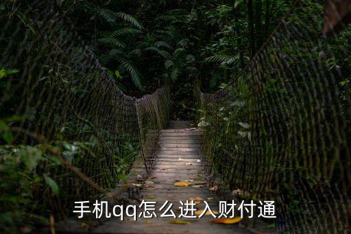 騰訊理財通QQ怎么進入，手機qq里面的理財通怎么打不開