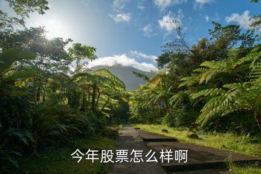 今年投資股票怎么樣，今年適合投資股票嗎