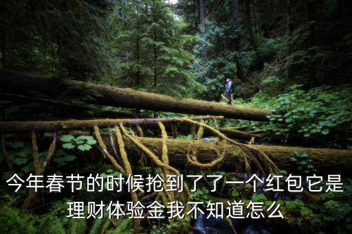 一賬通里的體驗金怎么用，今年春節(jié)的時候搶到了了一個紅包它是理財體驗金我不知道怎么