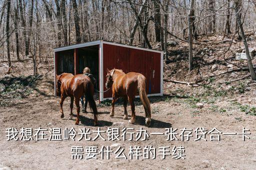 光大存貸合一卡怎么辦理，怎么辦理光大銀行陽光存貸一合卡