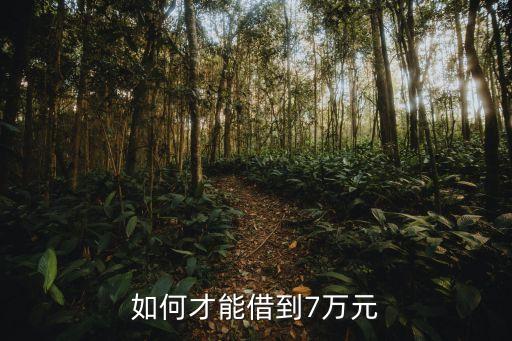 怎么貸款7萬，有信用卡可以用哪個軟件貸款7萬 急急急