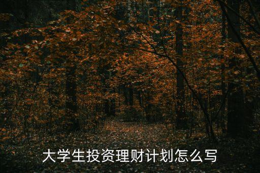 學(xué)生的理財(cái)計(jì)劃書怎么寫，理財(cái)計(jì)劃怎么寫