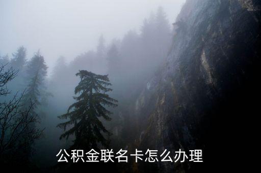 個(gè)人公積金聯(lián)名卡怎么辦理流程，如何辦理公積金聯(lián)名卡