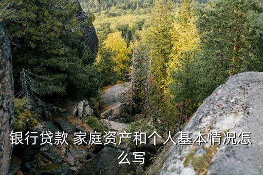 借款人基本信息模板怎么填，銀行貸款 家庭資產(chǎn)和個人基本情況怎么寫