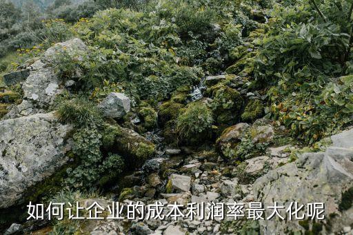 怎么才能利潤最大化，如何使企業(yè)利潤最大化