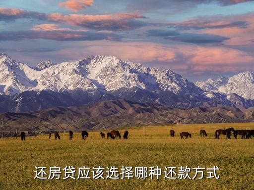還房貸應(yīng)該選擇哪種還款方式
