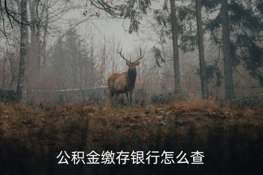 公積金繳存銀行怎么查