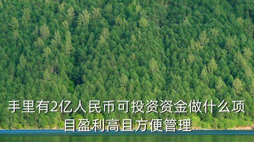 2億理財怎么理，手里有2億人民幣可投資資金做什么項目盈利高且方便管理