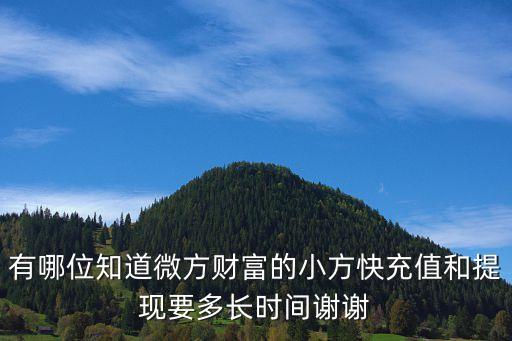 有哪位知道微方財(cái)富的小方快充值和提現(xiàn)要多長(zhǎng)時(shí)間謝謝