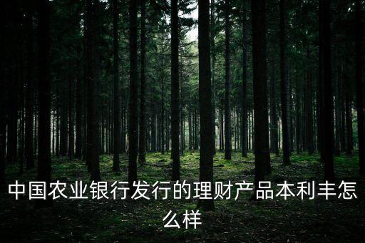 農(nóng)業(yè)銀行活利豐怎么樣，農(nóng)業(yè)銀行活利豐有風險嗎