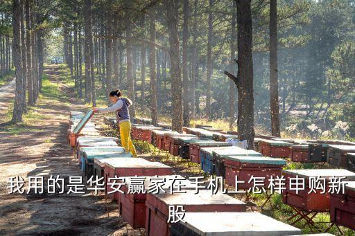 我用的是華安贏家在手機上怎樣申購新股