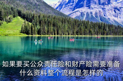 公共責(zé)任險(xiǎn)怎么買，如果要買公眾責(zé)任險(xiǎn)和財(cái)產(chǎn)險(xiǎn)需要準(zhǔn)備什么資料整個(gè)流程是怎樣的