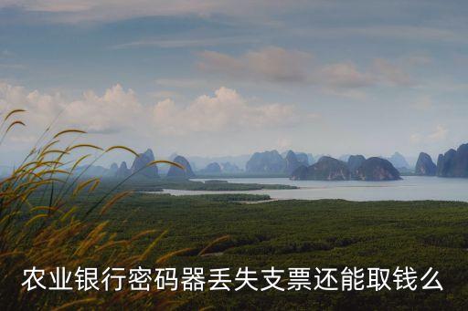 農(nóng)業(yè)銀行密碼器丟失支票還能取錢么