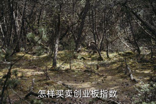 創(chuàng)業(yè)板指數(shù)怎么買，怎樣買賣創(chuàng)業(yè)板指數(shù)
