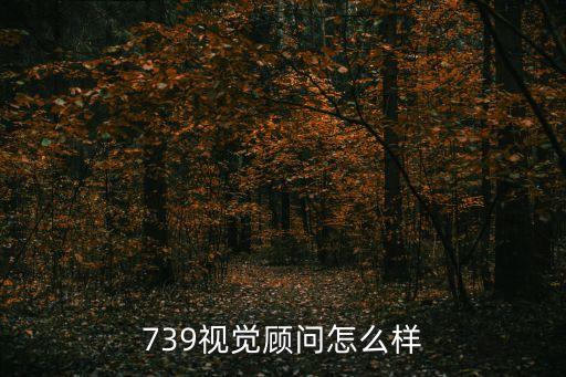 739視覺(jué)顧問(wèn)怎么樣