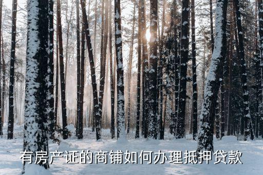門面抵押貸款怎么貸，有房產(chǎn)證的商鋪如何辦理抵押貸款