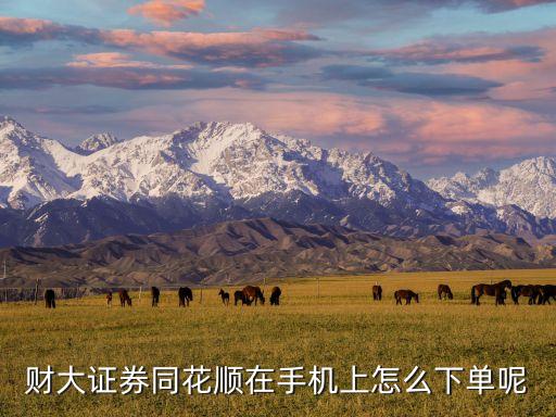 財(cái)大證券同花順在手機(jī)上怎么下單呢