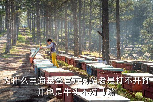 中海基金怎么還沒關門，海關下班以后不檢查了嗎從國外回來的船還的等海關上班才能通過嗎