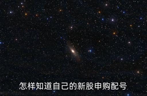 怎樣知道自己的新股申購(gòu)配號(hào)