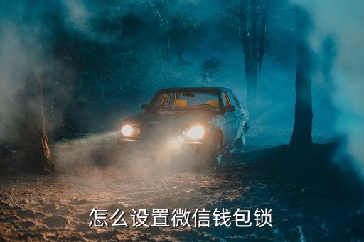 怎么設(shè)置微信錢包鎖