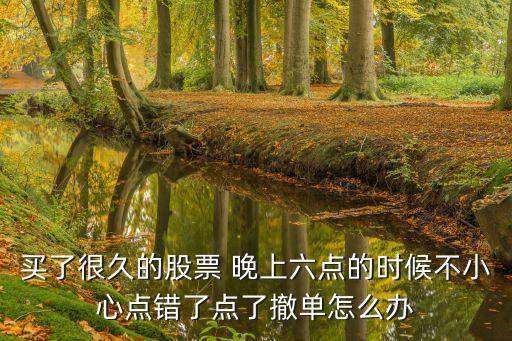 股票停盤撤單怎么辦，買了很久的股票 晚上六點的時候不小心點錯了點了撤單怎么辦