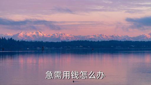 急需用錢怎么辦