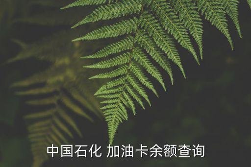 怎么查中石化油卡余額，中國石化 加油卡余額查詢