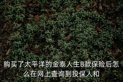 購買了太平洋的金泰人生B款保險后怎么在網(wǎng)上查詢到投保人和