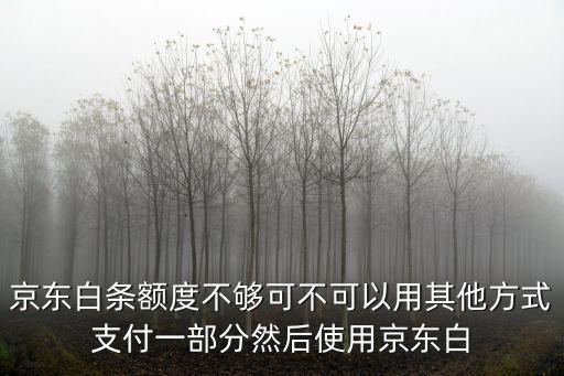 京東白條怎么合并付款，話說(shuō)白條額度不夠可以用現(xiàn)金一起付么