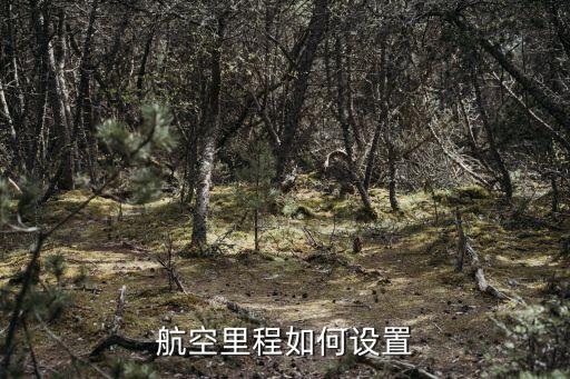 怎么用飛機里程，航空里程如何設(shè)置