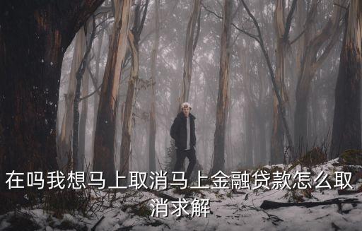 在嗎我想馬上取消馬上金融貸款怎么取消求解