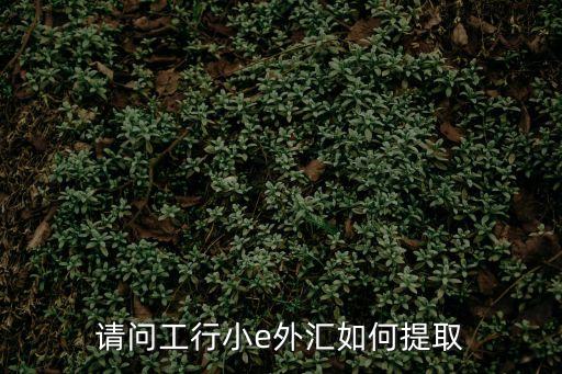 工商銀行購匯怎么取，工行我的賬戶外匯怎么把錢拿出來