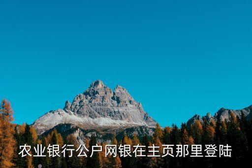 農(nóng)業(yè)銀行公戶網(wǎng)銀在主頁(yè)那里登陸