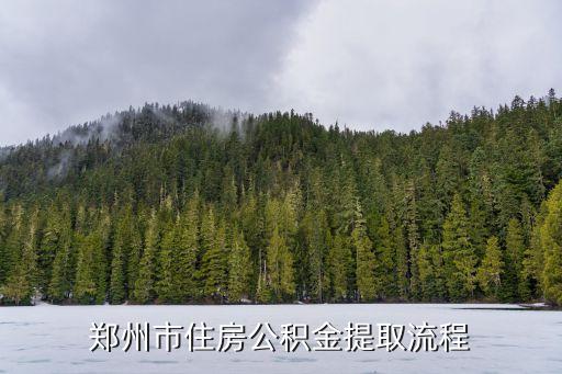 鄭州市住房公積金提取流程