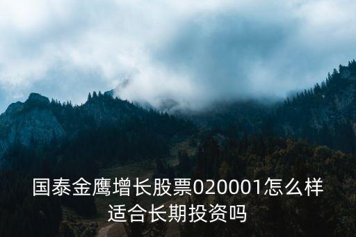 國泰金鷹增長(zhǎng)股票020001怎么樣適合長(zhǎng)期投資嗎