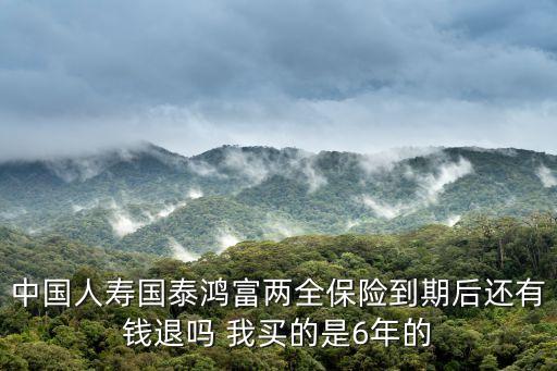 中國人壽國泰鴻富兩全保險到期后還有錢退嗎 我買的是6年的